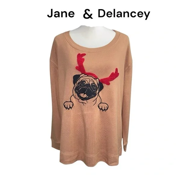 Jane & Delancey (NWT) Over Sized drop shoulder Sweatshirt, Size Large - Picture 1 of 9